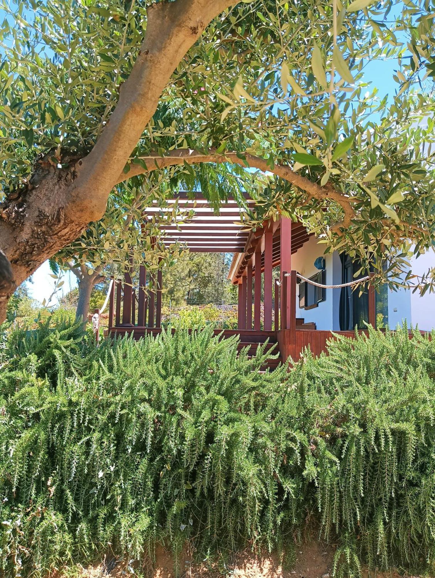 Finca Mis Morenas Палос-де-ла-Фронтера Экстерьер фото